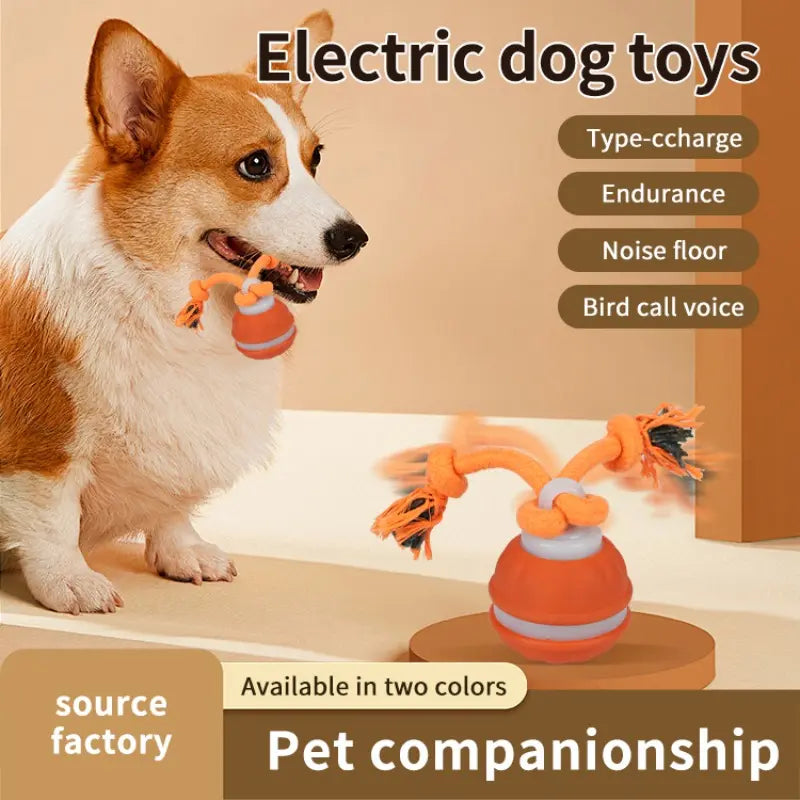 Smart Rolling Ball Toy for Dogs, Indoor Training Ball, Electric Pet Stimulation & Fun, Durable Bite-Resistant Design, Ideal for Boredom Relief