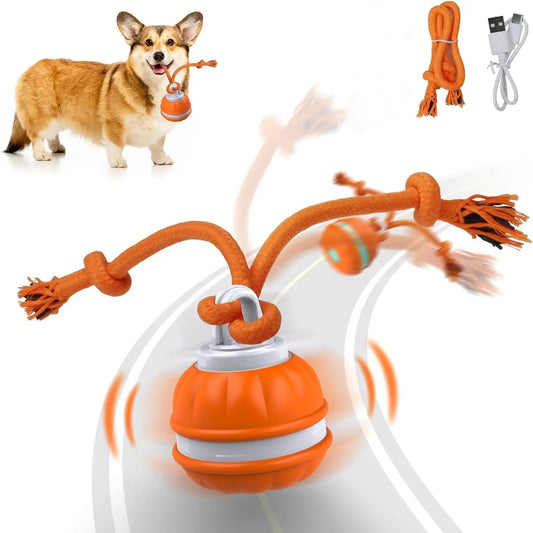 Smart Rolling Ball Toy for Dogs, Indoor Training Ball, Electric Pet Stimulation & Fun, Durable Bite-Resistant Design, Ideal for Boredom Relief